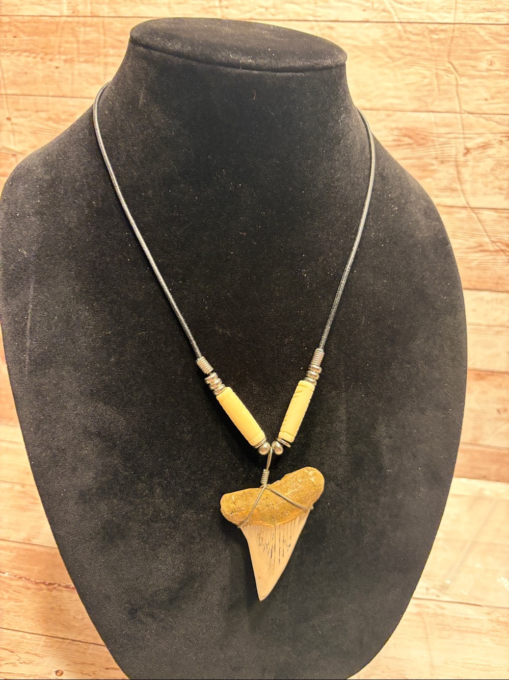 Authentic shark tooth Fossil Otodus Shark Tooth Necklace with Carved Bone Beads